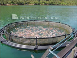 Polyethylene cage fish farming