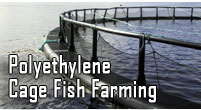 Polyethylene cage fish farming