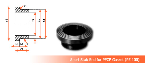 Polyethylene Flange