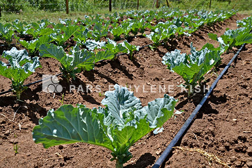 agricultural polyethylene pipe agricultural polyethylene pipe