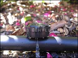 PE Pipe for water transfer